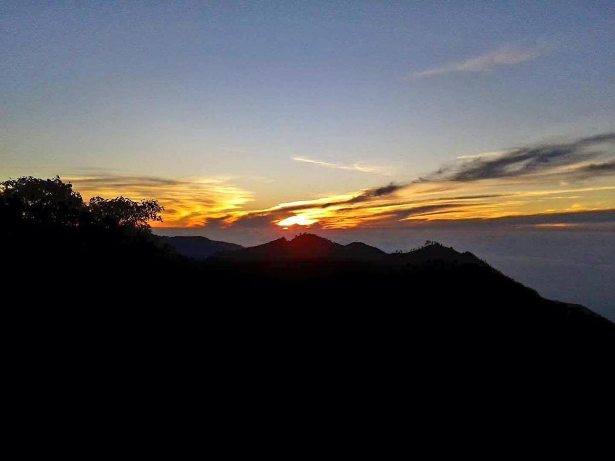 Bel View Guest House Haputale Buitenkant foto